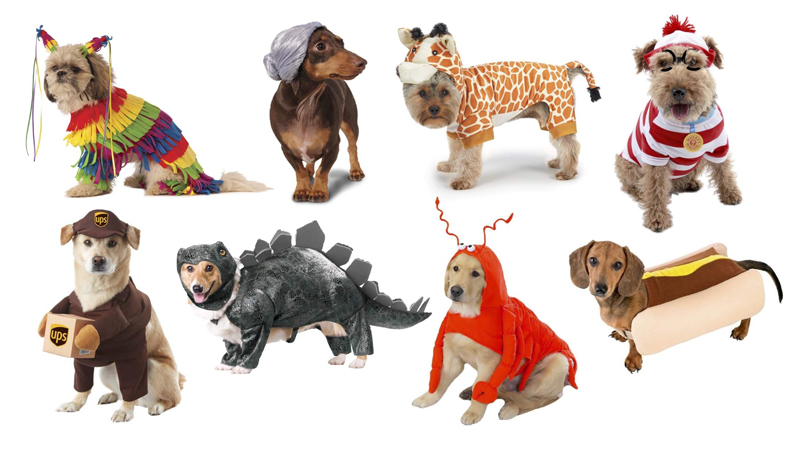 Dogs-Halloween-Funny-Costumes-Different-Kind-of-dogs-Halloween-costume-ideas-y-Halloween-costumes-Halloween-ideas