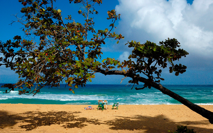 Dominican-Republic-Man-On-The-Beach-Under-a-Tree-beach-vacation-spots-best-tropical-vacation-spots--tropical-holiday-destinations