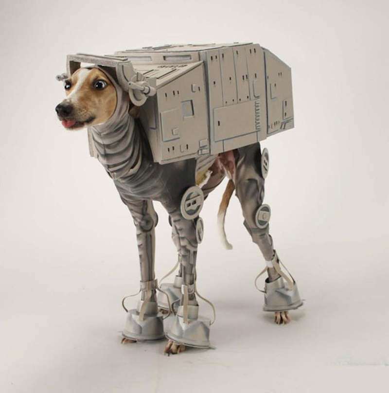 Funny-Star-Wars-Pet-Halloween-Costume-Halloween-costume-ideas-Halloween-costumes-Halloween-ideas-Superhero-costumes