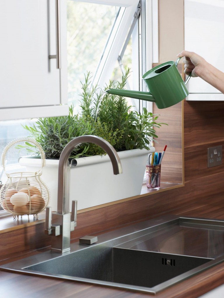 Home Growing Herbs In KItchen Green Home growing herbs indoors herb garden window herb garden kitchen herb garden growing herbs herb planter indoor