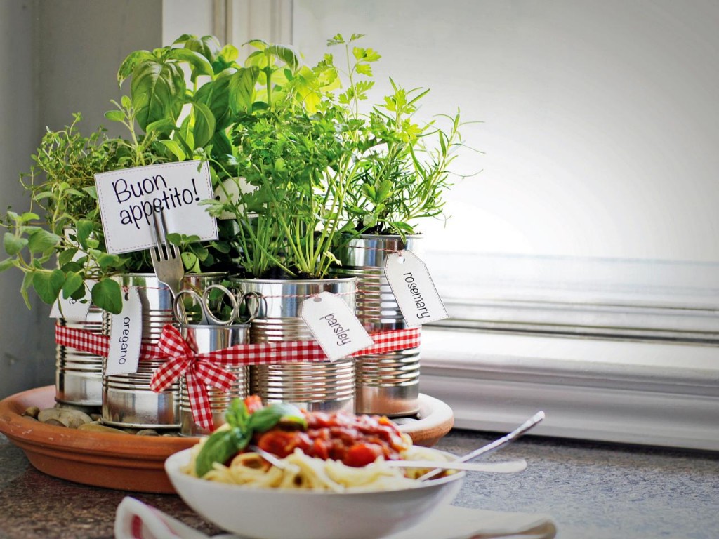 Home Grown HHerbs Pasta Buon Appetito growing herbs indoors herb garden window herb garden kitchen herb garden growing herbs herb planter indoor