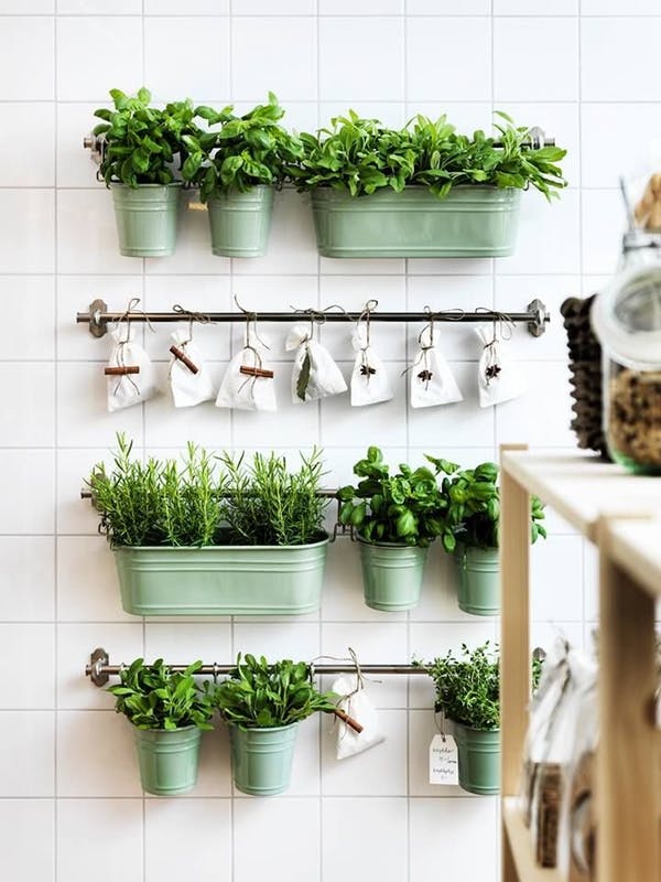 Kitchen Herb Real Garden Easy Cooking growing herbs indoors herb garden window herb garden kitchen herb garden growing herbs herb planter indoor