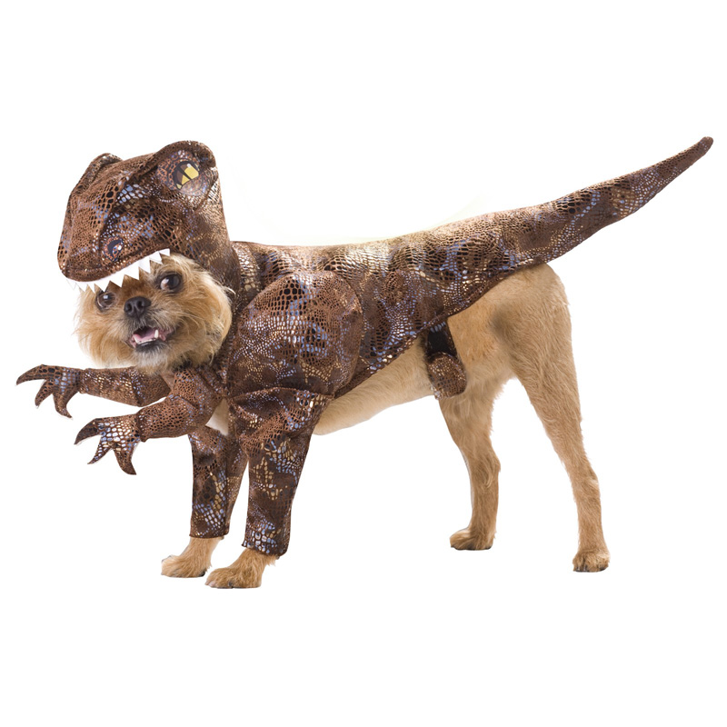 Pet-Raptor-Halloween-Funny-Costume-Halloween-costume-ideas-Halloween-costumes-Halloween-ideas