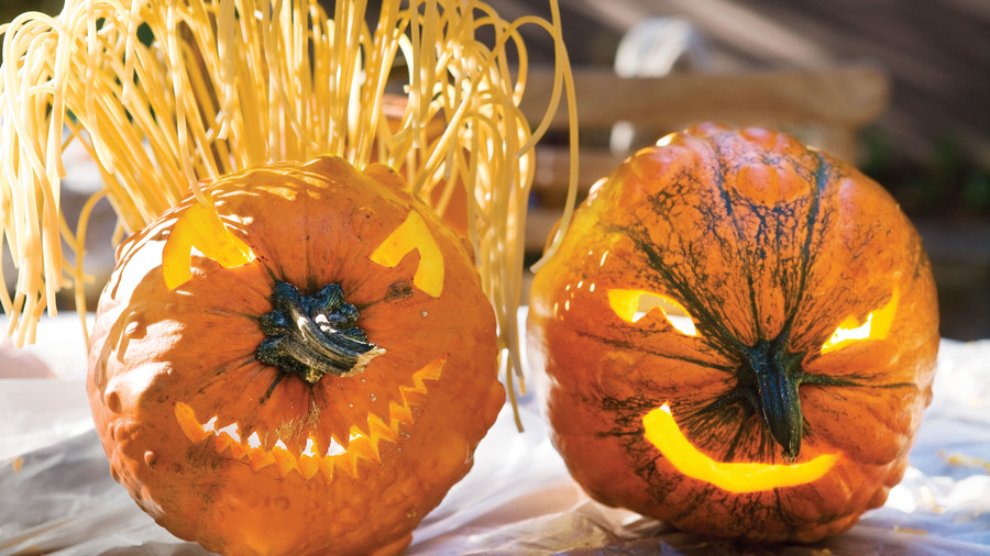 Pumpkin Halloween Faces House decorations diy