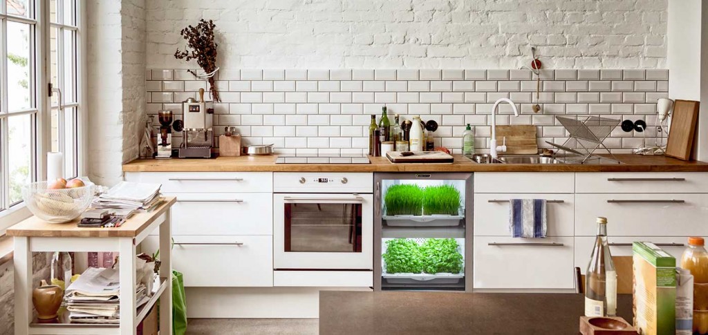 Urban Herbs Cultivator in Kitchen Modern Kitchen growing herbs indoors herb garden window herb garden kitchen herb garden growing herbs herb planter indoor