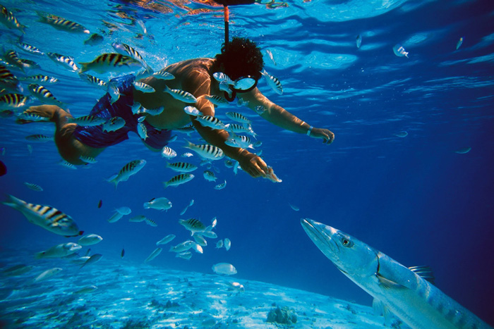 Snorkeling-in-Okinawa-Japan-solo-travel-companies-places-to-travel-alone-solo-female-travel-solo-travel-destinations