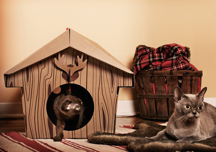 Cardboard-Cat-Indoor-Cabin-House-Christmas-Pet-House-Two-Grey-Cats