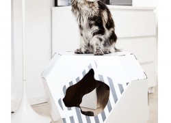 Cardboard-Cat-Indoor-House-Reversible-Pet-House-White-Cat-House-Beautiful-Long-Hair-Cat