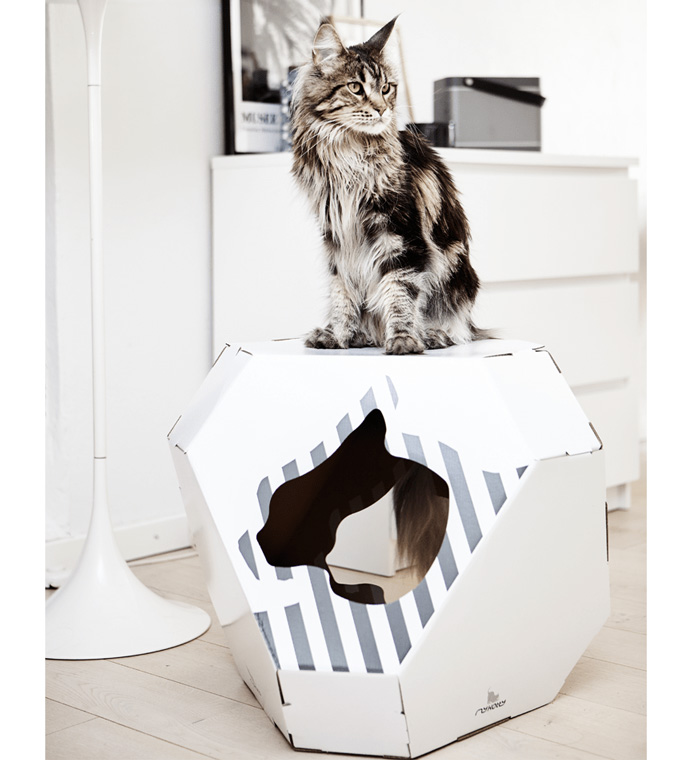 Cardboard-Cat-Indoor-House-Reversible-Pet-House-White-Cat-House-Beautiful-Long-Hair-Cat