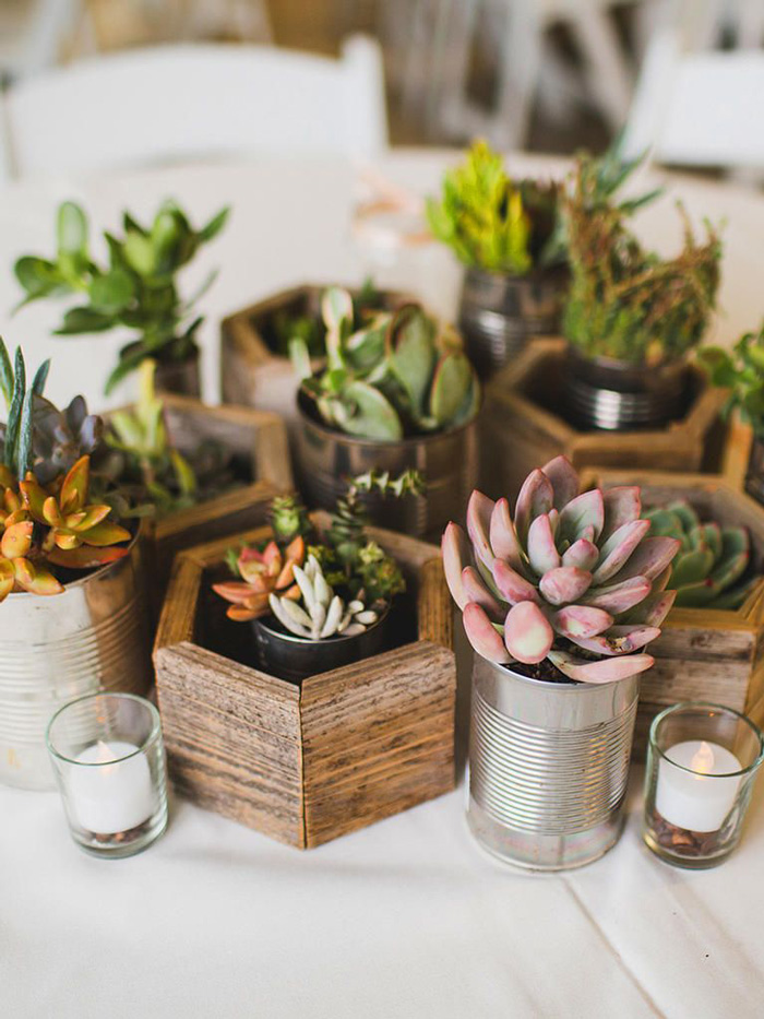 Potted-Succulents-Natural-Home-Decor-home-decor-items-natural-décor-living-room-decor-home-accents-home-decor-accessories