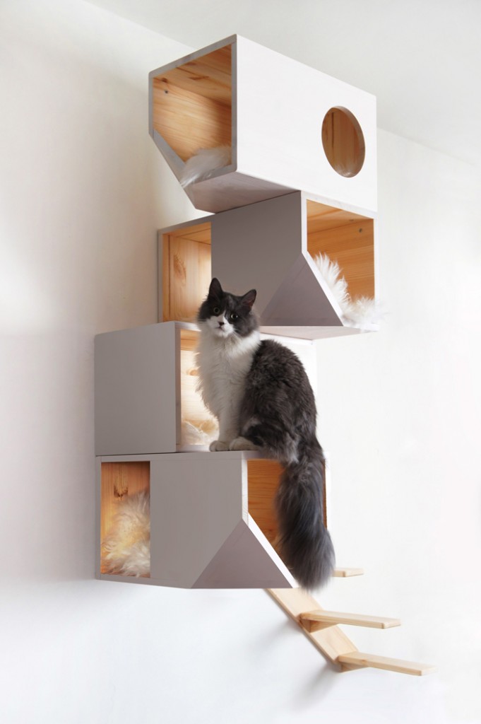 Wall-Cat-House-Wooden-Cat-Indoor-House-Pet-House-with-Stairs-and-Pillows