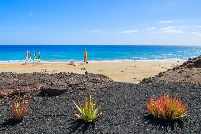 Fuerteventura-Canary-Islands-tropical-vacations-tropical-vacation-spots-tropical-vacation-destinations-beach-vacation-spots-tropical-island-holidays-tropical-places