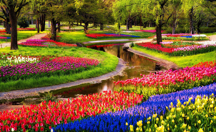 Keukenhof-gardens-tree-spring-break-vacation-deals-spring-break-family-vacations-spring-travel-spring-break-trips