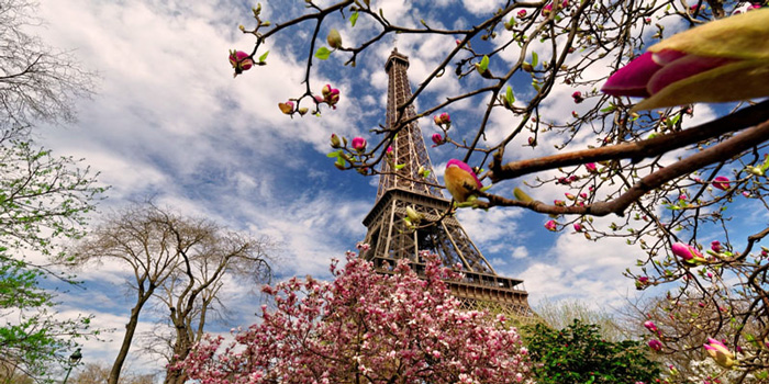 paris-spring---spring-trip-ideas