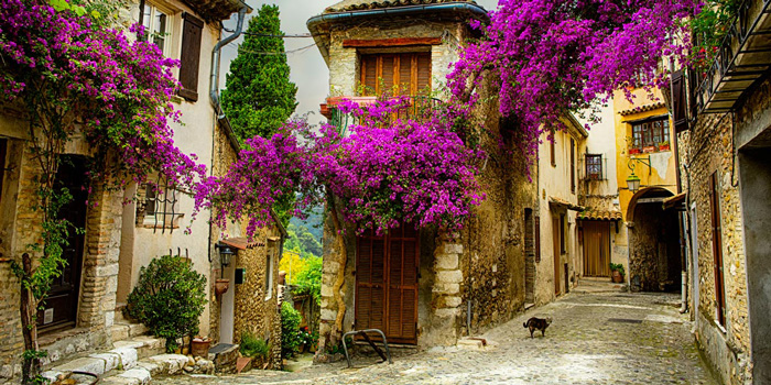 provence-France--spring-break-trip-ideas-cherry-blossom-tree-spring-break-vacation-deals-spring-break-family-vacations-spring-travel-spring-break-trips