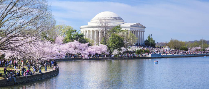 washington-dc-spring-travel-cherry-blossom-tree-spring-break-vacation-deals-spring-break-family-vacations-spring-travel-spring-break-trips