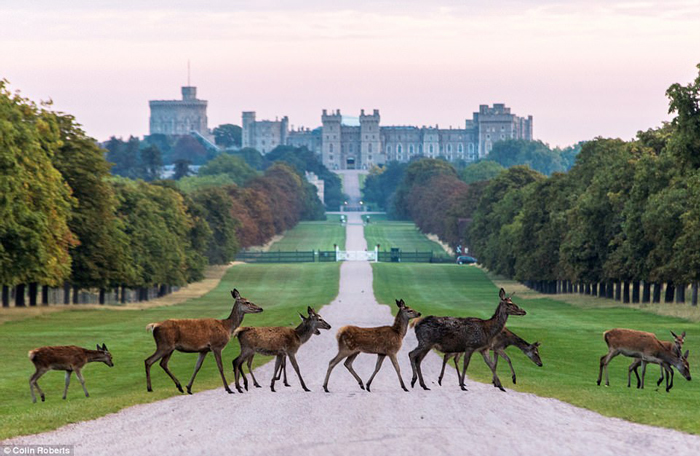 windsor-castle-tour-medieval-times-castles