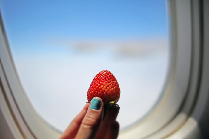 snacks-on-the-plane-long-flight-essentials