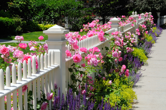 Spring-Garden-Landscape-Ideas-Pink-Flowers