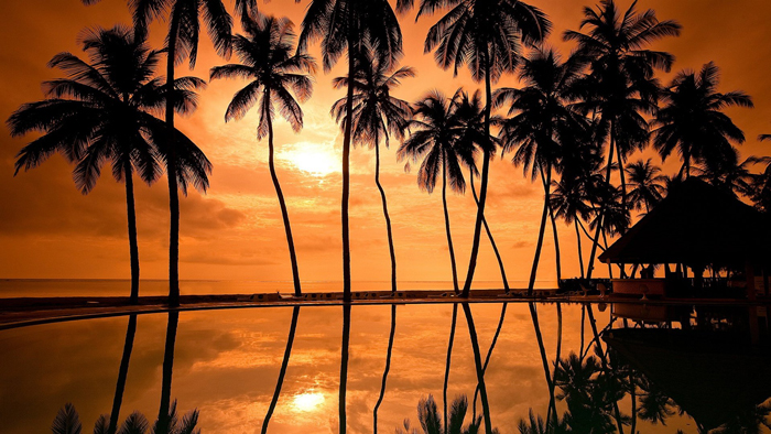 Sunset-Beach-Hawaii-Palms-at-sunset