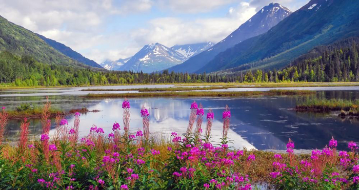 family-on-holiday-in-alaska 