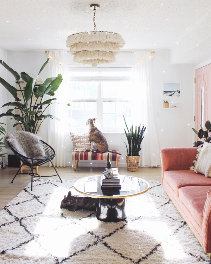 Pet Friendly Interior Tips for Your Home - PRETEND Magazine