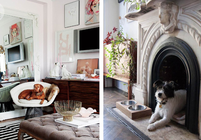 Pet Friendly Interior Tips for Your Home - PRETEND Magazine