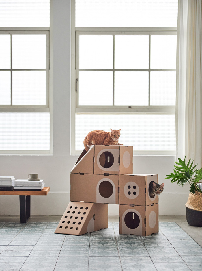 pet-zone-indoor-cozy-playground