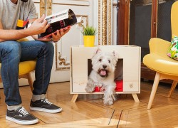 Renting with pets