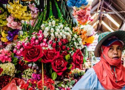 Chatuchak-Market-Bangkok-Artificial-Flower-Shop
