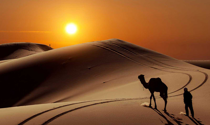 best-places-to-visit-in-africa-dunes