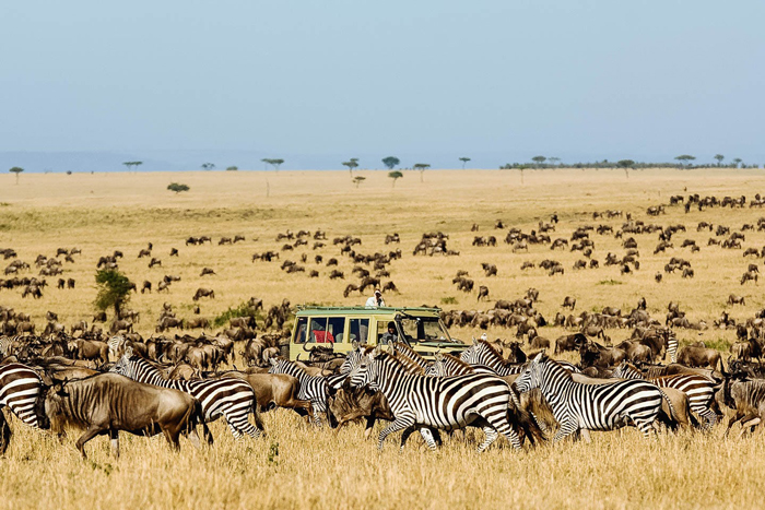 serengeti-migration-best-african-countries-to-visit