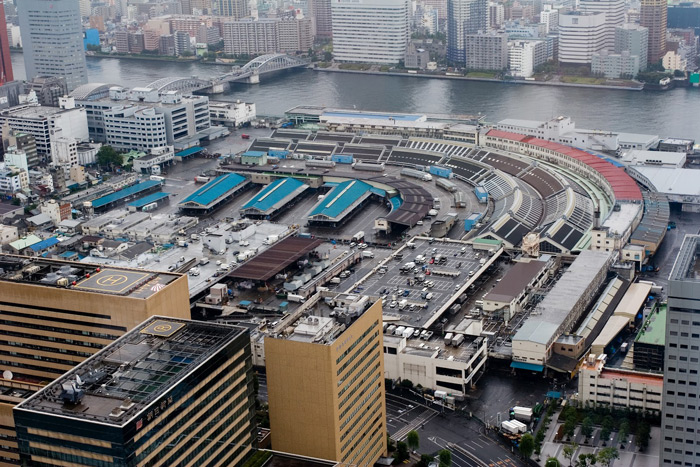 tsukiji-market-world-trade