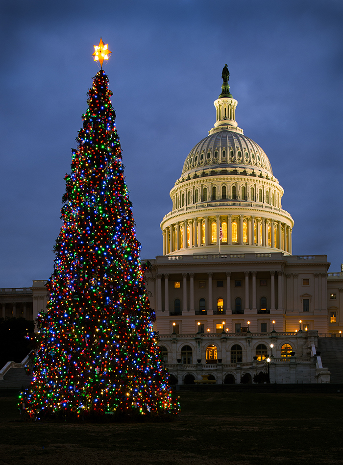 Capitol-Christmas-Tree-Washington-DC