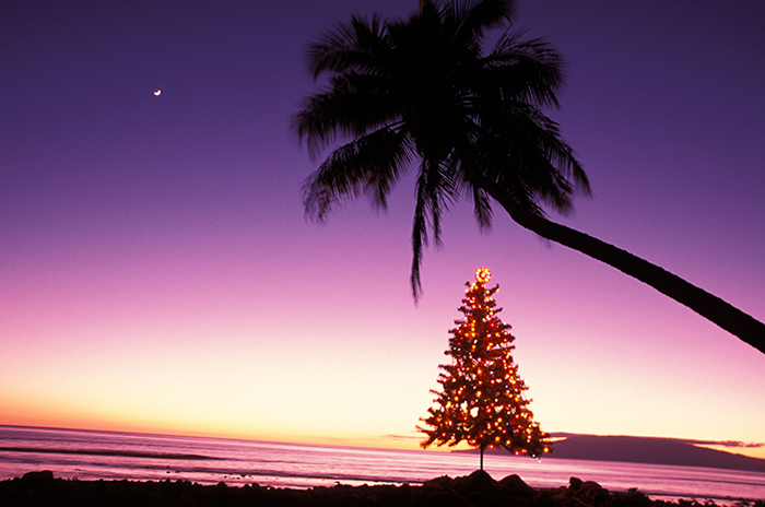 Celebrating-New-year-in-Hawaii