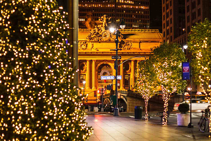 Christmas-Trees-on-Park-Ave