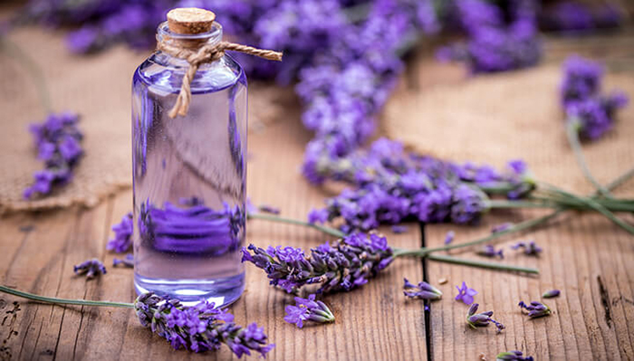 Essential-Oil-Lavander-for-Portable-Aromatheraly