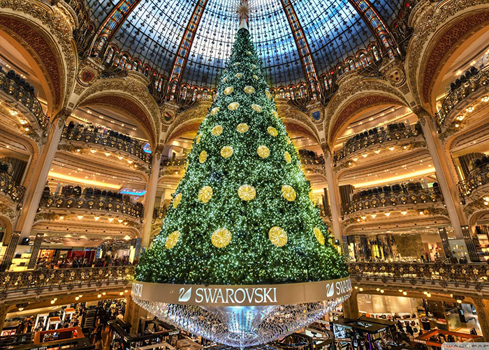 Indoor-Christmas-Tree-in-Paris