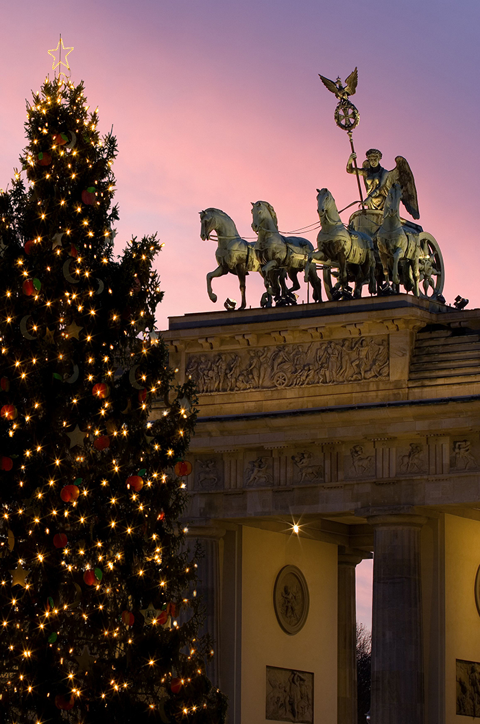 Large-Outdoor-Christmas-Tree-Berlin