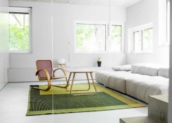 Minimalist Living Room with Green Rug and Grey Walls