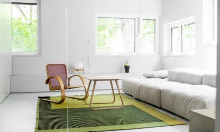 Minimalist Living Room with Green Rug and Grey Walls