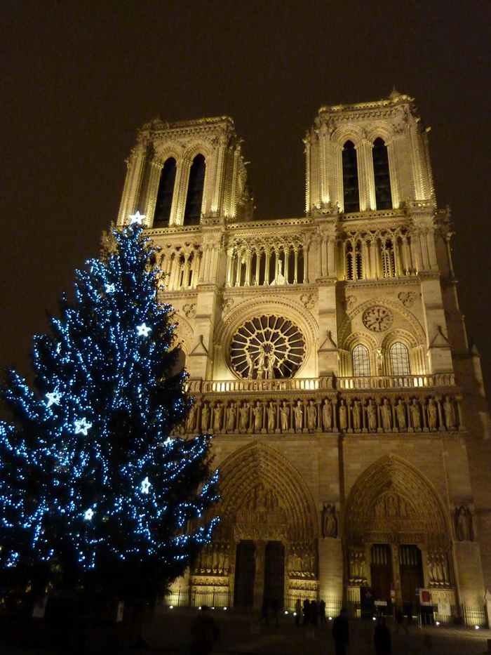 Outdoor-Christmas-Tree-in-front-of-Notre-Dame-Paris