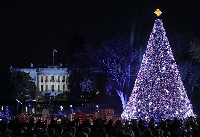 Washington-DC-Large-Outdoor-Chirstmas-Tree