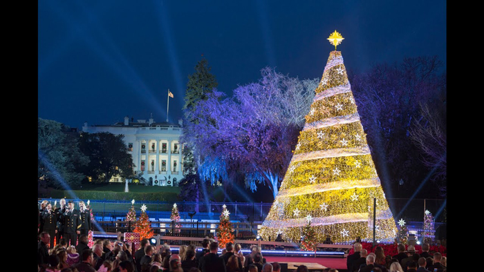 washington-dc-christmas-tree