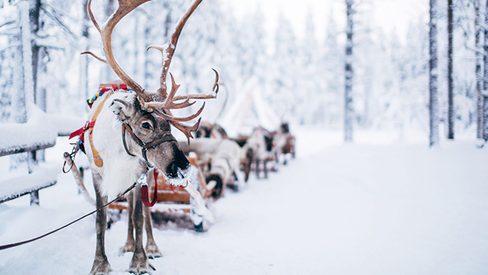 Christmas-Hetaway-in-Santa-Claus-Village-Finland
