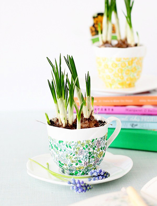 DIY-Easy-Christmas-Gift-Ideas-decoupage-tea-cup-planter