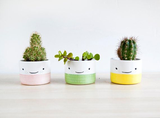 Eco-Friendly-Christmas-Gift-Ideas-potted-plant