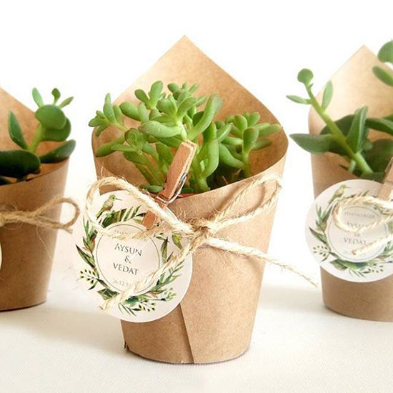 plant Gift Box - A Concierge Gifting Experience — Welcome to PLANT