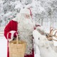 Santa Claus Feeding His Deer
