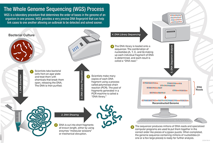 Genome-Sequencing-Top-Health-Innovations-for-2018